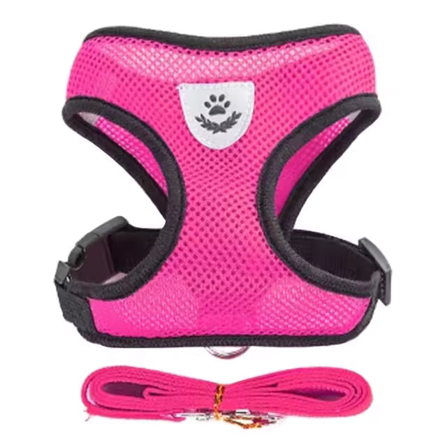 Cat And Small Dog Harness/leash Set