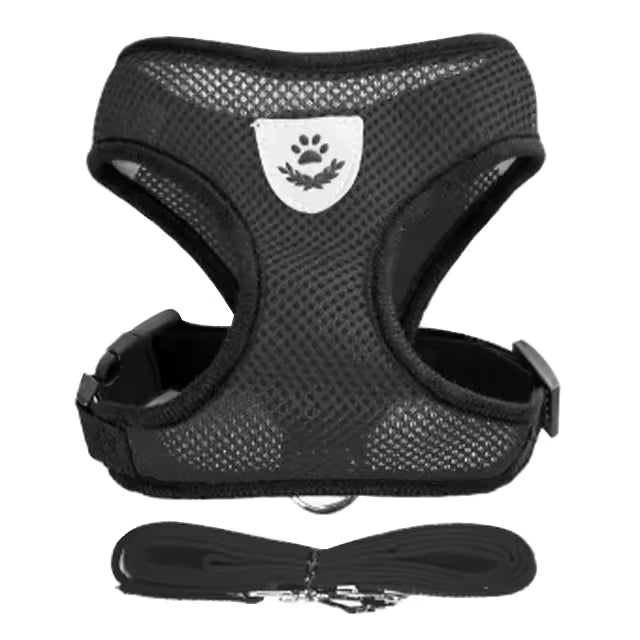 Cat And Small Dog Harness/leash Set