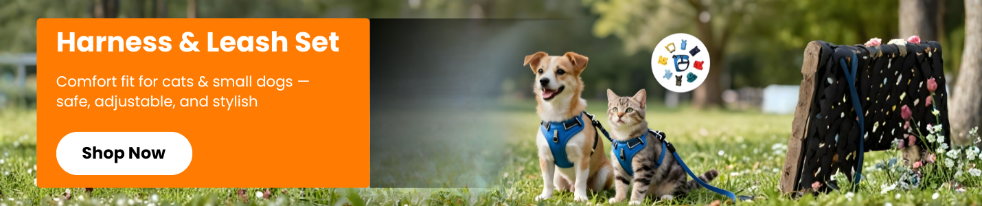 slider image slider_item_B77wan