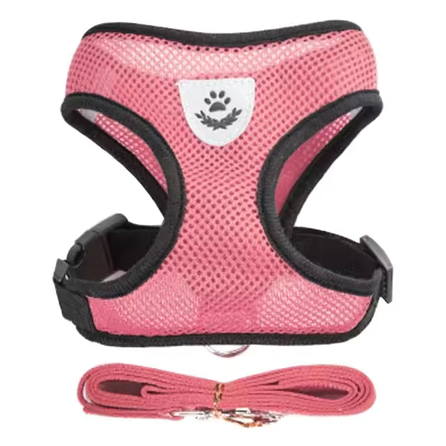 Cat And Small Dog Harness/leash Set