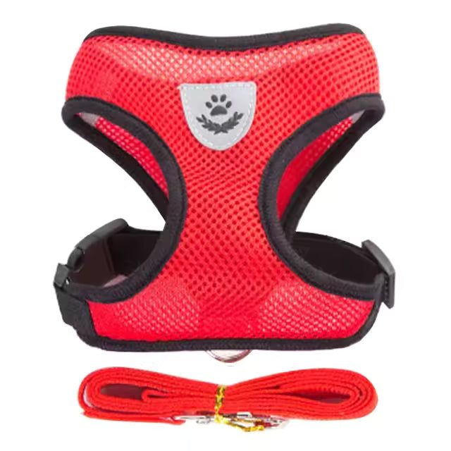Cat And Small Dog Harness/leash Set