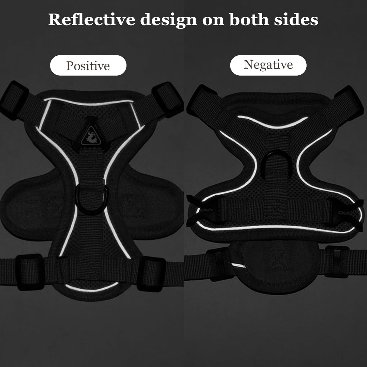 Cat And Small Dog Harness/leash Set