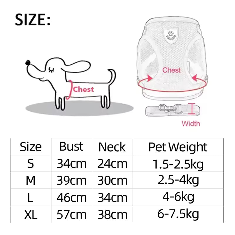 Cat And Small Dog Harness/leash Set
