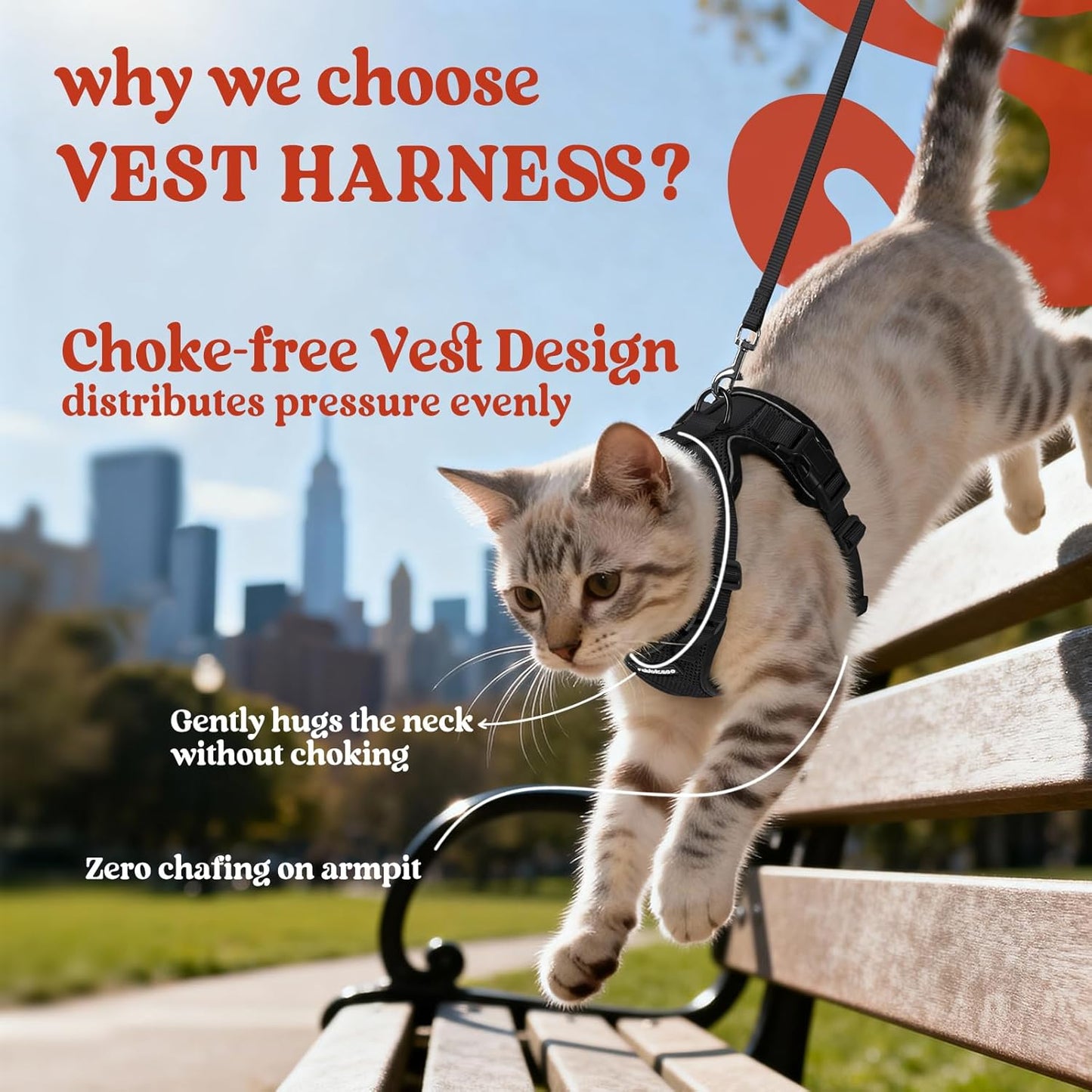 Cat And Small Dog Harness/leash Set